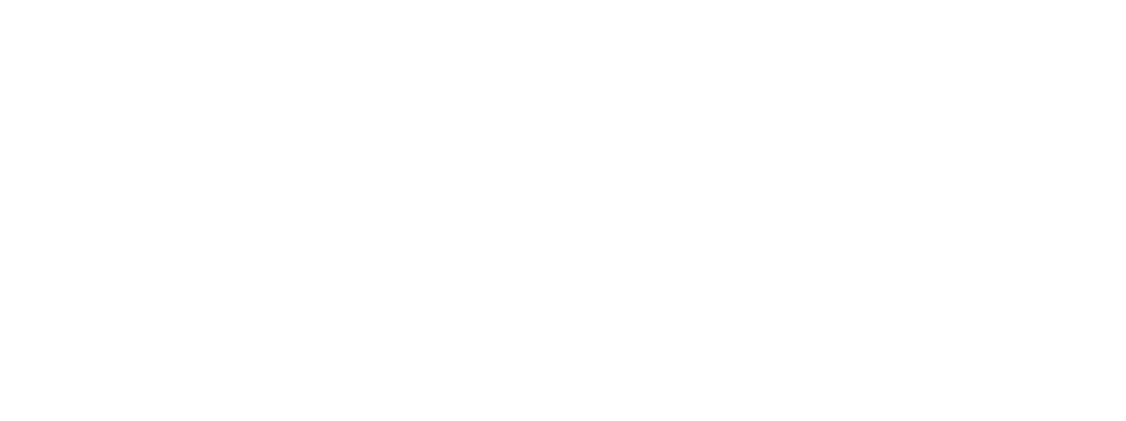 Drive-A-Tesla